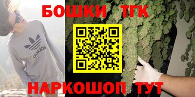 шишки Гагарин
