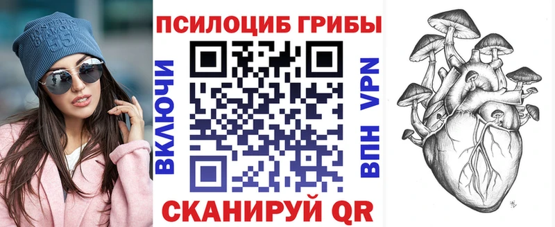 как найти закладки  Нижнеудинск  Псилоцибиновые грибы ЛСД 