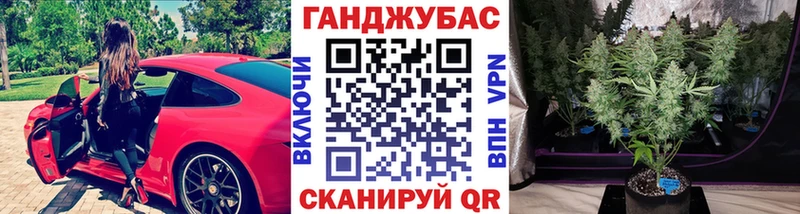 где найти   Нижнеудинск  Канабис SATIVA & INDICA 